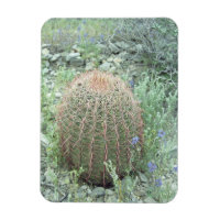 Prickly Pink Petals Cactus Decorative Magnete