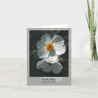 Prickly Poppy - Native Notecard Karte