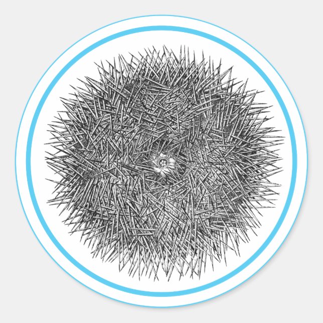 Pricky Urchin-Aufkleber Runder Aufkleber (Vorderseite)