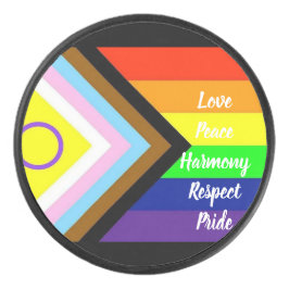 Pride Eishockey Puck