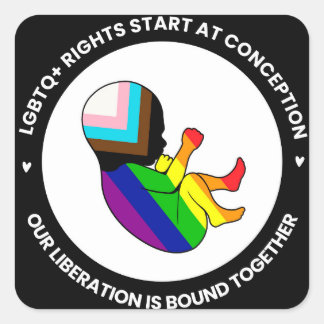 Pride Fetus Stickers (Quadrat)