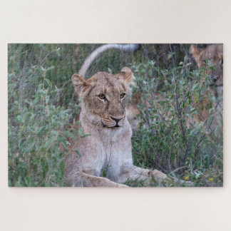Pride Guardian – Ruhende Löwin