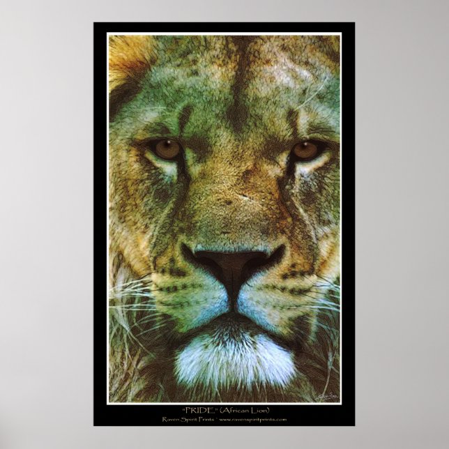 "PRIDE" Poster du lion africain Imprimer (Devant)