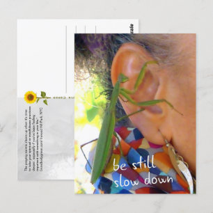 Prier Mantis - être tranquille, ralentir - carte p