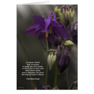 Prière Cherokee, Columbine au soleil