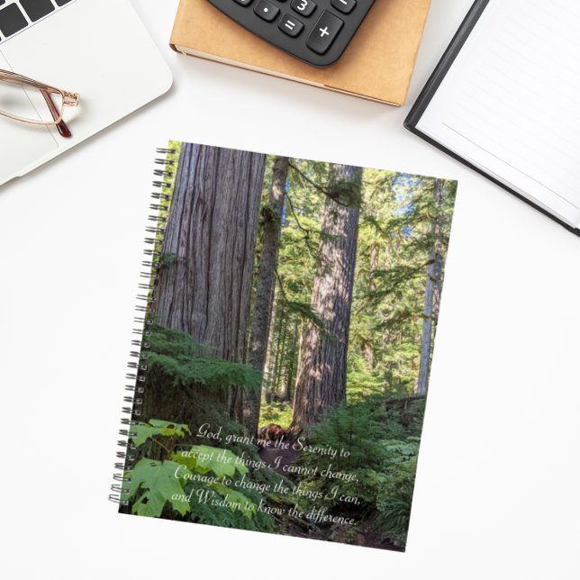 Prière de sérénité Forêt verte (In Situ)