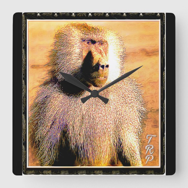 Primat Models: Hamadryas Baboon 01 Quadratische Wanduhr (Vorderseite)