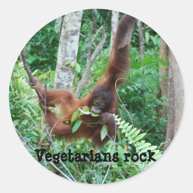 Primat Vegetarians Rock ! Runder Aufkleber (Vorderseite)