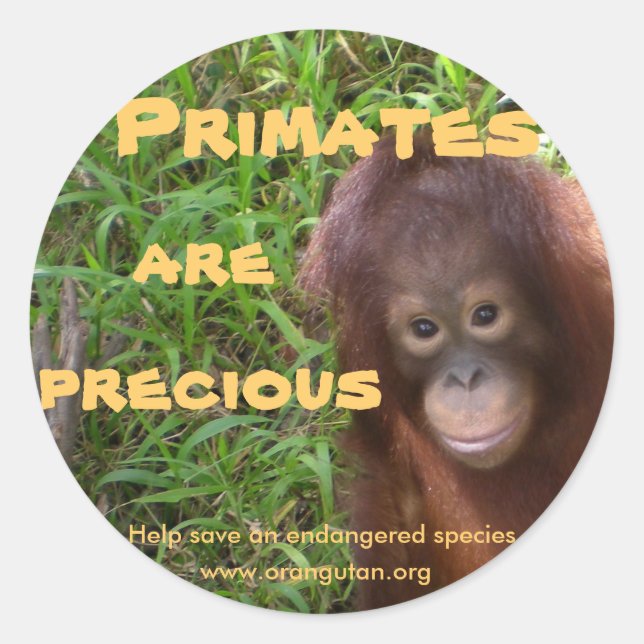 Primate sind Wertvoll Runder Aufkleber (Vorderseite)