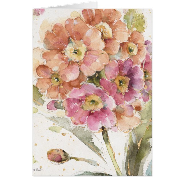 Primevère rose et orange (Devant)