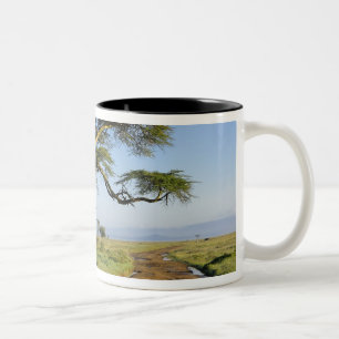 Primitive Schotterstraße und Akazienbaum, Lake Nak Zweifarbige Tasse