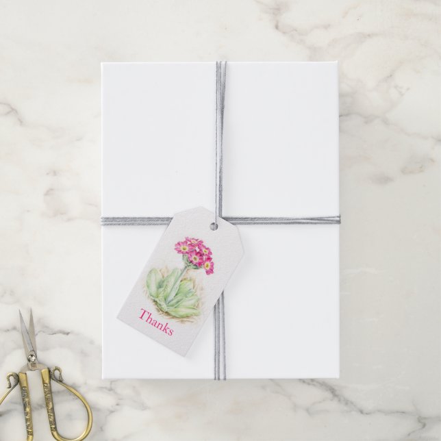 Primrose aquarelle fine art merci étiquettes (Avec de la ficelle)