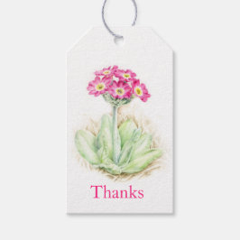 Primrose Aquarellkunst Danke an die Tags Geschenkanhänger