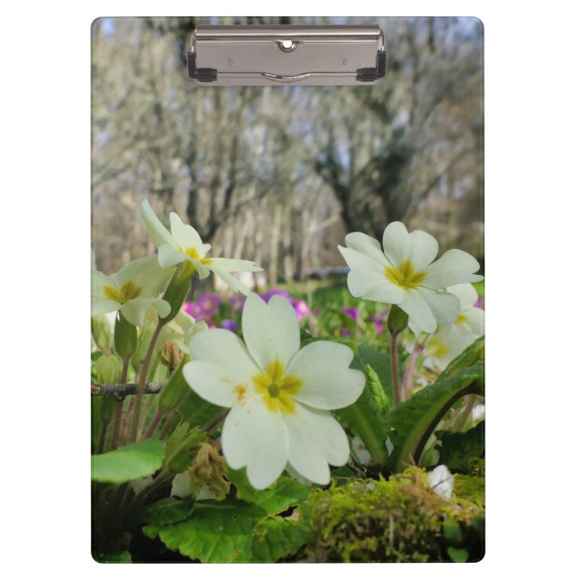 Primrose Clipboard Klemmbrett (Vorderseite)