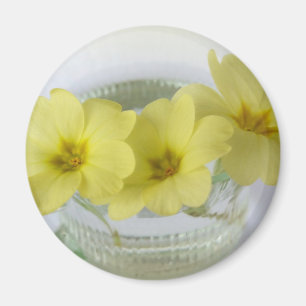 Primrose in einer Kaffeetasse Magnet