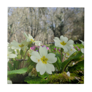Primrose-Keramik Fliese