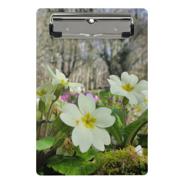 Primrose Mini Clipboard Klemmbrett (Vorderseite)