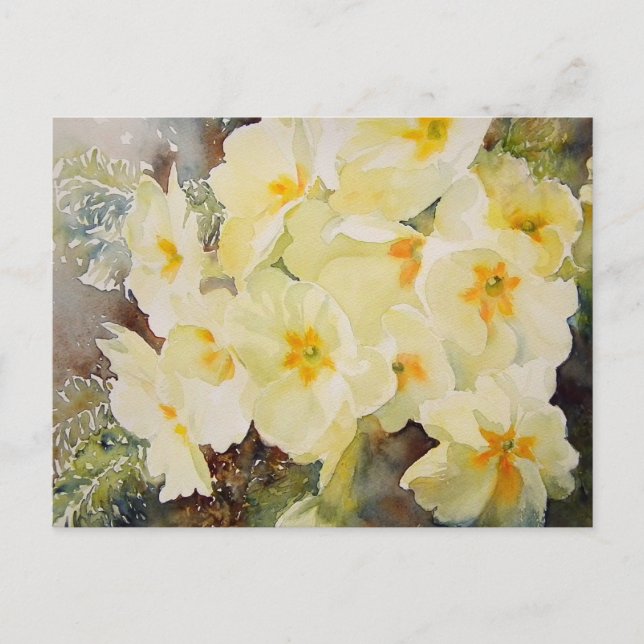 Primrose Posy Postkarte (Vorderseite)
