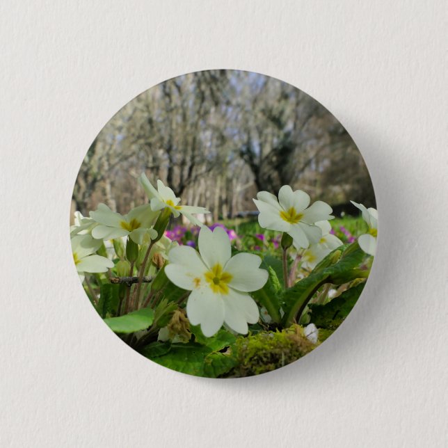 Primrose (Primula vulgaris) Abzeichen Button (Vorderseite)