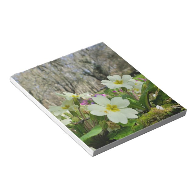 Primrose (Primula vulgaris) Notizblock (angewinkelt)