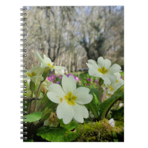 Primrose Spiral Notebook Notizblock