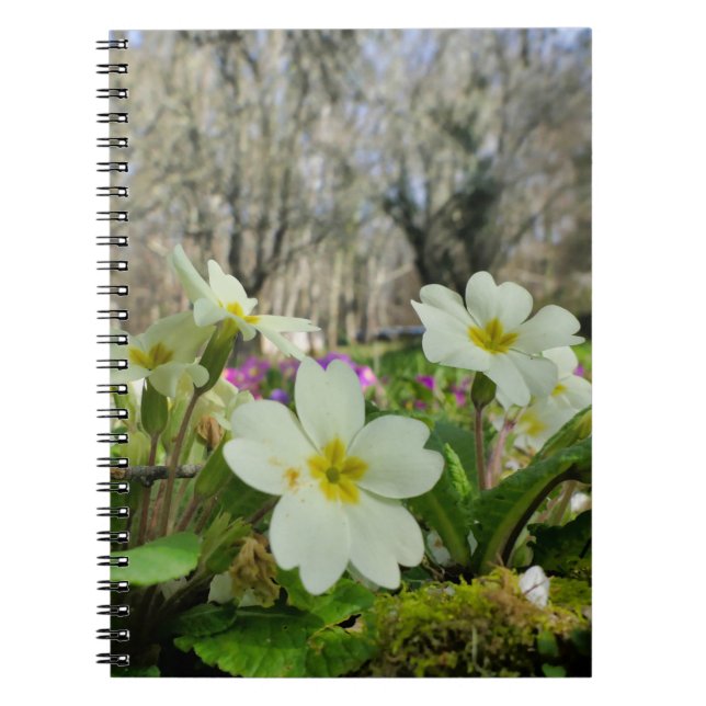Primrose Spiral Notebook Notizblock (Vorderseite)