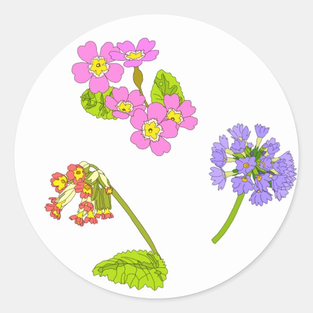Primroses Runder Aufkleber (Vorderseite)