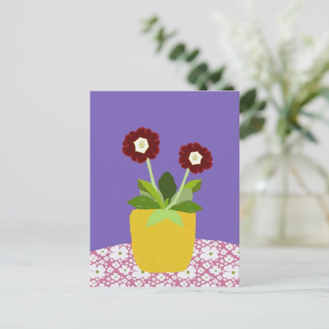 Primula aricula Postkarte (Stehend Vorderseite)