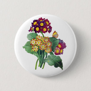 Primula-Aurikel - Cowslip- Pierre Joseph Redoute Button