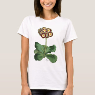 Primula-Aurikel-Rot T-Shirt