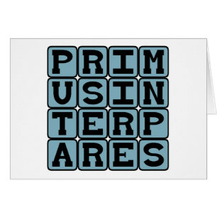 Primus Inter Pares, erste unter Gleichen