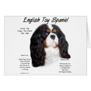Prince Charles English Toy Spanel History