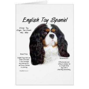 Prince Charles English Toy Spanel History