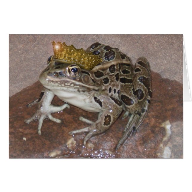 Prince de grenouille (Devant horizontal)