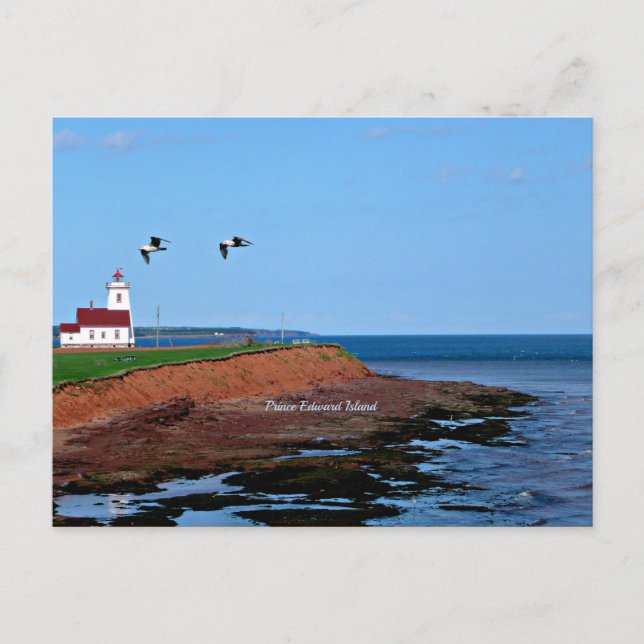 Prince Edward Island Lighthouse Postkarte (Vorderseite)