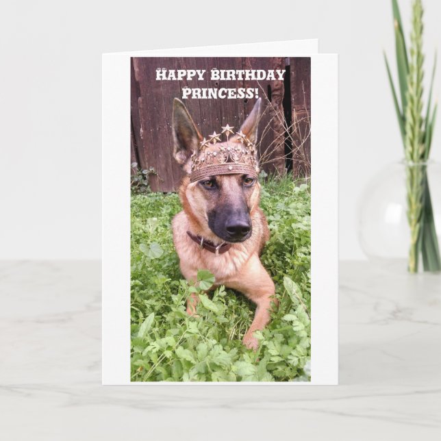 Princess Birthday Card mit belgischer Malinois Karte (Vorderseite)