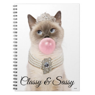 Princess Cat Blowblase Kaugummi Notizblock