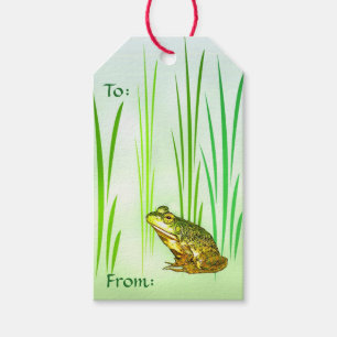 Princess Charming Frog Pack mit Geschenketiketten Geschenkanhänger