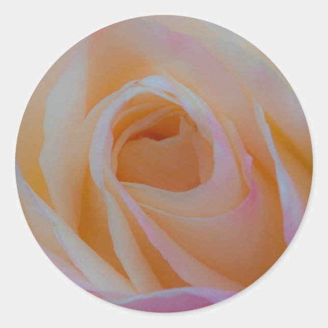 Princess Diana Rose Runder Aufkleber (Vorderseite)