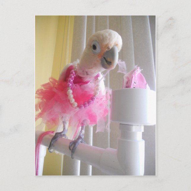 Princess Ella Postcard Postkarte (Vorderseite)