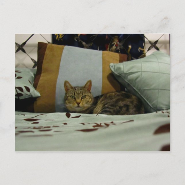 Princess Indigo Postkarte (Vorderseite)