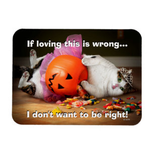 Princess-Katze mit Süßeimer Magnet