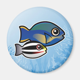 Princess Parrotfish Magnet