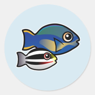Princess Parrotfish mit Baby Runder Aufkleber