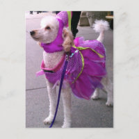 Princess Puppy