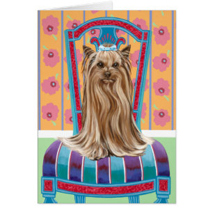 Princesse héritière Yorkie