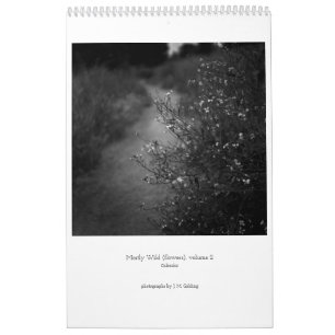 Principalement Wild (fleurs), volume 2, Calendrier