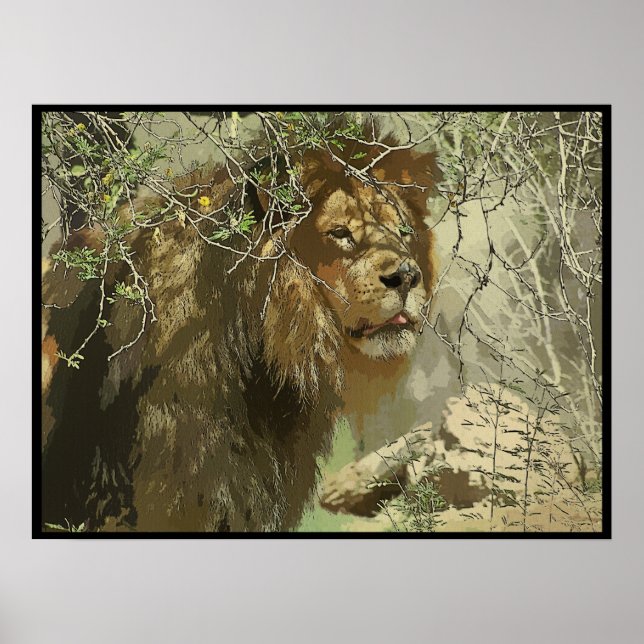 Print - König des Dschungels Poster (Vorne)