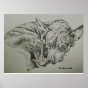 Print, Matte )MEET SAM von CR Sinclair Poster