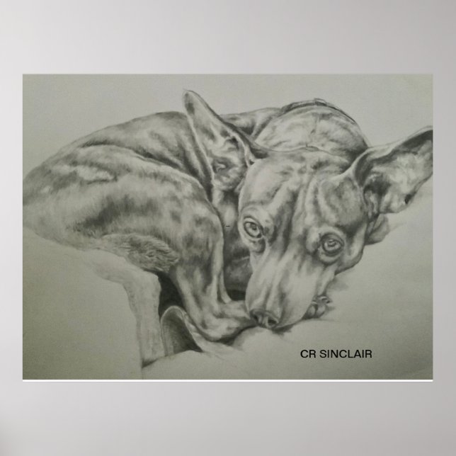 Print, Matte )MEET SAM von CR Sinclair Poster (Vorne)